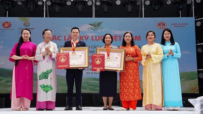 שיא בווייטנאם של 200 מנות צמחוניות מלוטוס