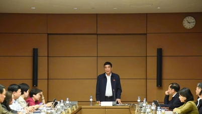 Complementar as regulamentações para garantir a honestidade nas avaliações de produtos.