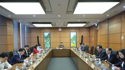 اعداد و شمار کے اعداد و شمار کو معیاری بنانا اور ایک بین شعبہ جاتی ای کامرس مینجمنٹ میکانزم قائم کرنا ضروری ہے۔