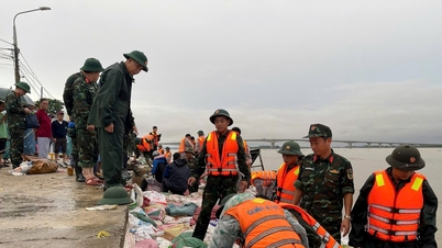 Da Nang heeft een bericht uitgegeven waarin de nadruk ligt op het aanpakken van de gevolgen van overstromingen en het proactief reageren op storm Kalmaegi.