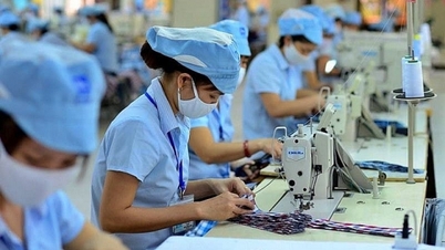 Десять лет создания отраслей, поддерживающих зелёное развитие: [Часть 1] Правовая основа