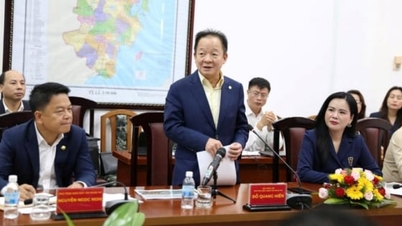 Grupul T&T dorește să investească într-o serie de proiecte în Khanh Hoa