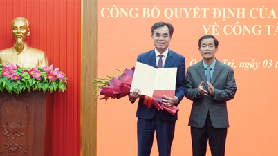 El Sr. Nguyen Luong Binh es el Jefe del Comité Organizador del Comité Provincial del Partido de Quang Tri.