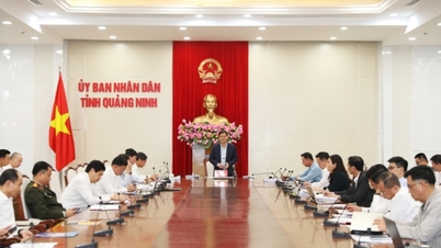 Beseitigung von Schwierigkeiten, Förderung der Entwicklung von Wirtschaftszonen, Industrieparks, Industrieclustern und Energie