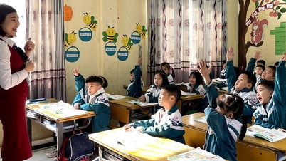 Uma série de deficiências na forma como os salários dos professores são calculados.