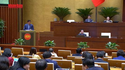 [Video] Wijziging van de wet op het beheer van de staatsschuld, met als doel de decentralisatie te vergroten en procedures te verminderen