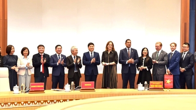 A Suécia deseja expandir a cooperação e promover o investimento em Hai Phong.