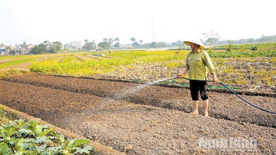 Koncentrálj a téli termésre, próbáld meg visszanyerni a termelési ritmust