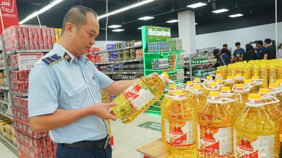 Khánh Hòa thành lập Ban Chỉ đạo chống buôn lậu, gian lận thương mại và hàng giả