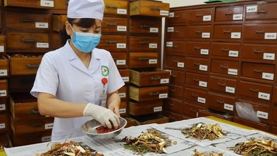 Aprimorando o caminho legal para a preservação e o desenvolvimento do conhecimento médico tradicional.