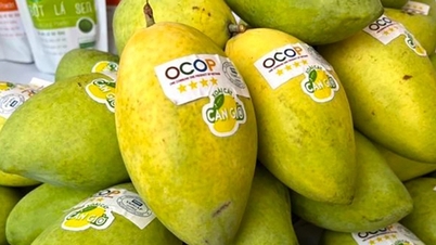 Penyelesaian untuk menyokong pembangunan produk OCOP yang dikaitkan dengan kesihatan manusia