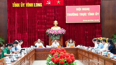 আইন অনুসারে জাতীয় পরিষদ এবং গণপরিষদের নির্বাচনের জন্য জরুরিভাবে প্রস্তুতি নিন।