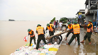 فرماندهی نظامی شهر دانانگ اقداماتی را برای مقابله با طوفان شماره ۱۳ اتخاذ کرد