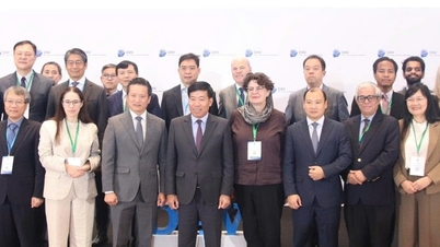 הכנס המדעי הבינלאומי ה-17 על הים המזרחי: סולידריות בחוסר ודאות