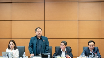 Defina claramente as responsabilidades dos vendedores, dos criadores de conteúdo ao vivo e dos proprietários das plataformas.