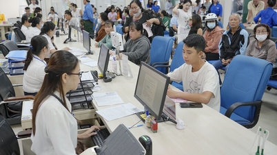 푸꾸옥 특별구역은 지적 데이터베이스 구축을 완료하기 위해 노력하고 있습니다.