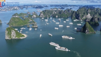 Thành lập Ban Quản lý Di sản thế giới Vịnh Hạ Long - Yên Tử