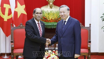 Генеральний секретар То Лам прийняв посла Сінгапуру, який прийшов попрощатися.