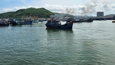 คานห์ฮวาสั่งห้ามทะเลตั้งแต่เวลา 12.00 น. ของวันที่ 6 พฤศจิกายน