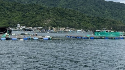 Збір сільськогосподарської продукції для уникнення штормів під девізом «теплиця краща за старе поле»