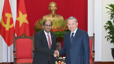 [Foto] Generalsekreterare To Lam tar emot Singapores ambassadör Jaya Ratnam