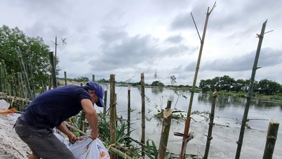 Người dân Thăng An khẩn trương gia cố bờ kênh N225 sạt lở, bảo vệ khu dân cư