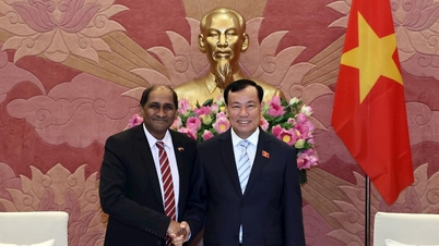 O presidente do Comitê Nacional de Defesa, Segurança e Relações Exteriores, Tenente-General Le Tan Toi, recebeu o Embaixador de Singapura no Vietnã.