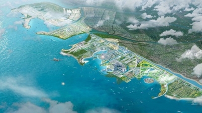 Ninh Binh ដាក់ជូននាយករដ្ឋមន្រ្តីដើម្បីអនុម័តផែនការមេនៃតំបន់សេដ្ឋកិច្ច Ninh Co ដល់ឆ្នាំ 2050