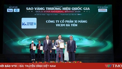 Vicem Ha Tien conquistou a Estrela de Ouro da Marca Nacional 2025.