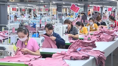 ثانه هوا يعزز الإنتاج الأخضر، ويرفع مستوى السلع المصدرة