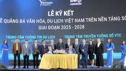 Подписание соглашения о сотрудничестве в области развития цифровой культуры и защиты авторских прав