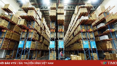 چین کا نیا ای کامرس "سٹار" فرانسیسی مارکیٹ میں داخل ہو گیا۔