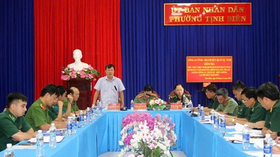 警察、軍隊、国境警備隊に関する政府法令第3号の実施状況を検査する