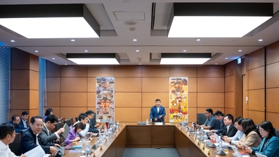 قانون کو مکمل کرنا، ریاستی انتظام کی تاثیر کو بہتر بنانا