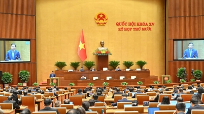 Pressemitteilung Nr. 12, 10. Sitzung, 15. Nationalversammlung