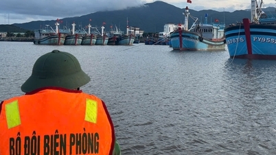 Khanh Hoa และ Dak Lak ดำเนินการเชิงรุกเพื่อรับมือกับพายุ Kalmaegi