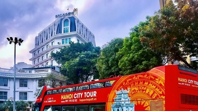 हनोई डबल डेकर बस: टिकट की कीमतों और मार्गों की विस्तृत मार्गदर्शिका
