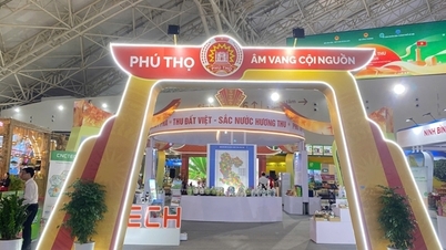 ค้นพบบ้านเกิด: สี่ฤดูกาล หนึ่งการเดินทาง