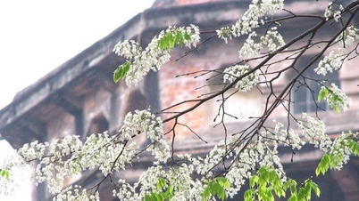 Hanoi februárban: Tavasz a régi negyed szívében