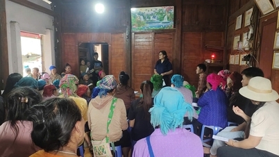 מדיניות ואסטרטגיות רבות לפיתוח סיוע משפטי