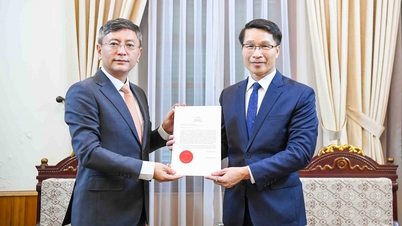 Dışişleri Bakanlığı, Hindistan'ın Vietnam Büyükelçisi'ni atayan Güven Mektubunun bir kopyasını aldı