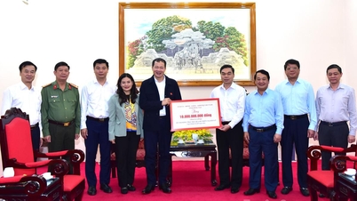 Delegace provincie Dong Nai navštívila oblast Tuyen Quang a předala 10 miliard dongů na podporu překonání škod způsobených bouří č. 10.
