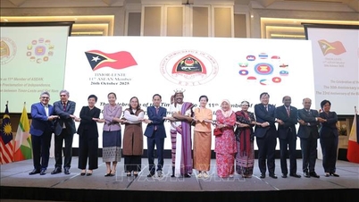 Doğu Timor'un Bağımsızlığının 50. Yıldönümü ve ASEAN'a Katılımının Önemli Bir Aşaması Kutlandı