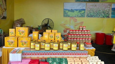 Το περίπτερο της επαρχίας Tuyen Quang κατέλαβε την 9η θέση από τα 3.000 βραβευμένα περίπτερα στην Φθινοπωρινή Έκθεση του 2025.