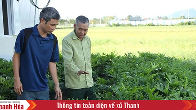 מכל הלב למען העם, מסור לכפר