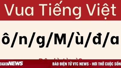 No te dejes engañar por este acertijo.