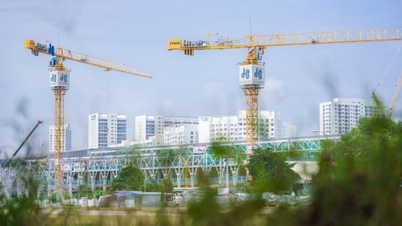 درآمد مالی گروه ساختمانی هوآ بین در سه ماهه سوم سال 2025 به شدت افزایش یافت