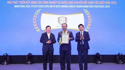 KN Holdings - Pemaju hartanah perindustrian dengan transformasi hijau 2025