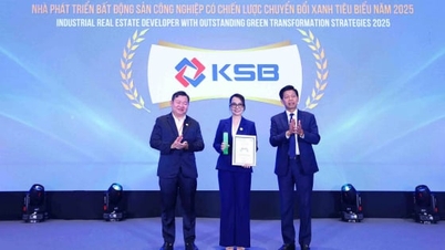 KSB відзначено премією «За зелене майбутнє»