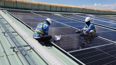 گروه LTP کارخانه خود را برای استفاده از سیستم انرژی خورشیدی ارتقا می‌دهد